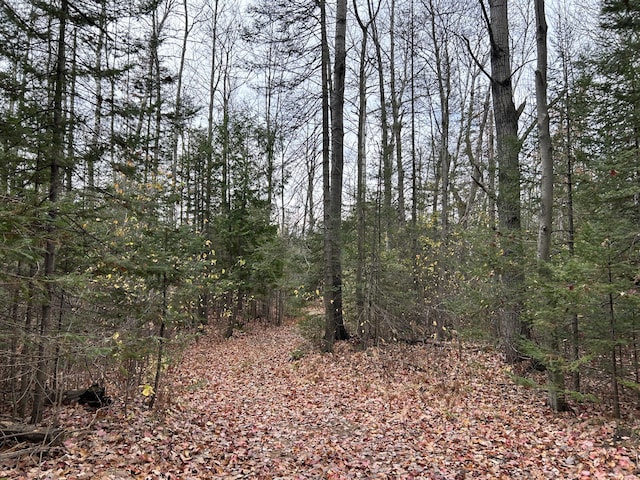 view of local wilderness with a forest view