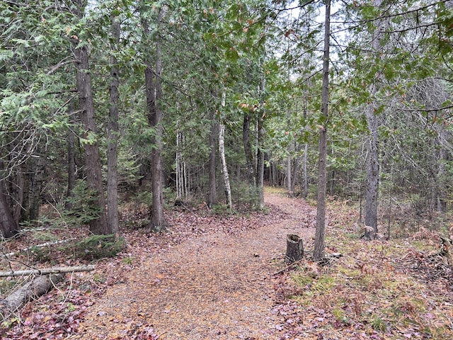 view of local wilderness with a view of trees