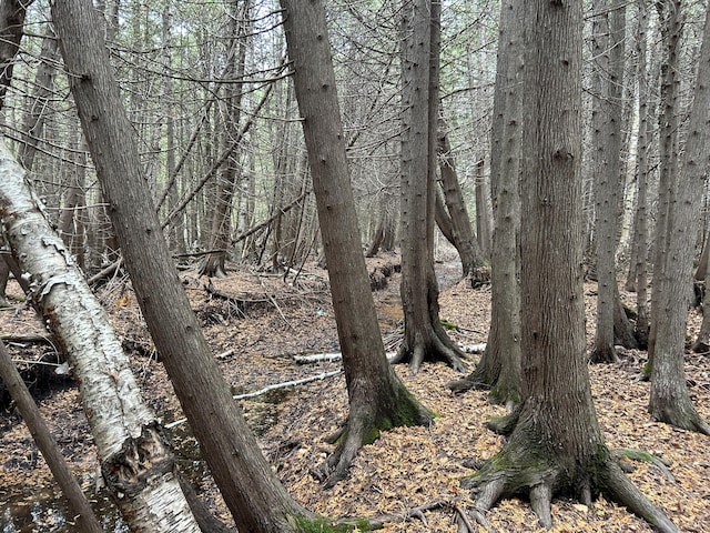 view of nature