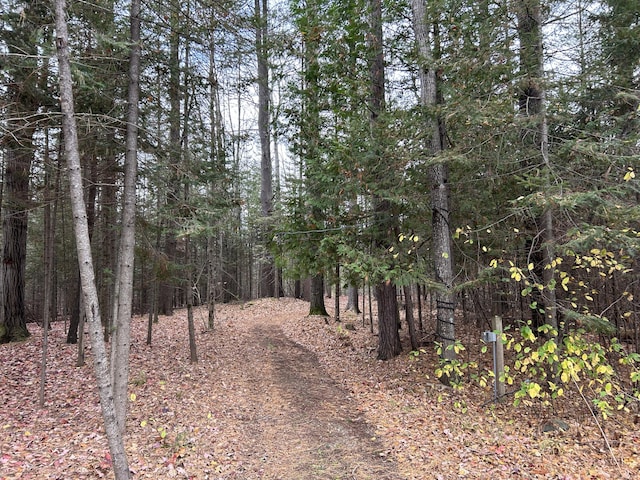 view of nature with a wooded view