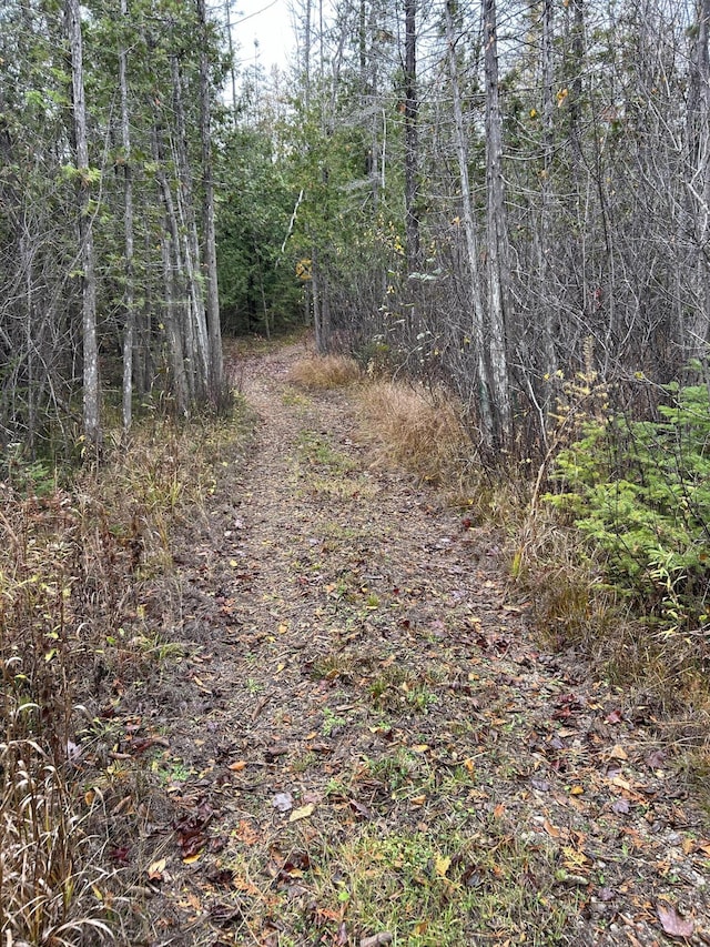 view of street featuring a view of trees