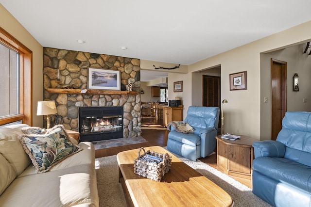 living area with a fireplace and wood finished floors