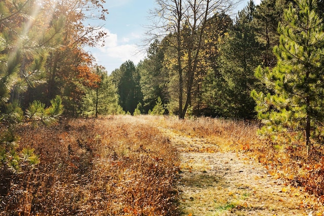 view of nature featuring a wooded view