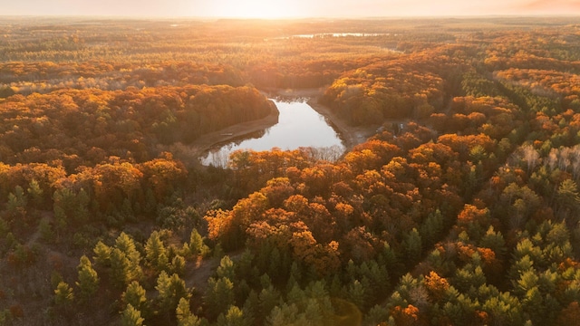 drone / aerial view featuring a forest view and a water view