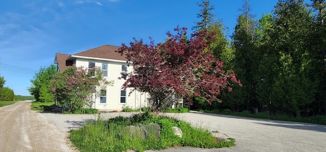 view of property hidden behind natural elements with driveway