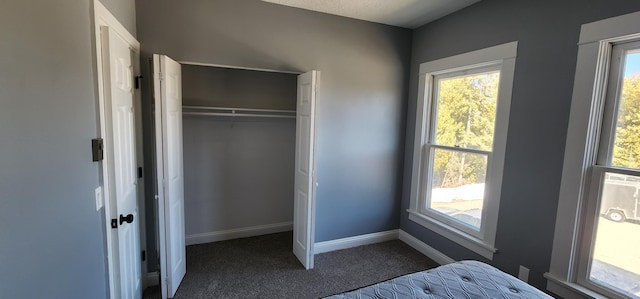 unfurnished bedroom featuring baseboards, multiple windows, and carpet floors