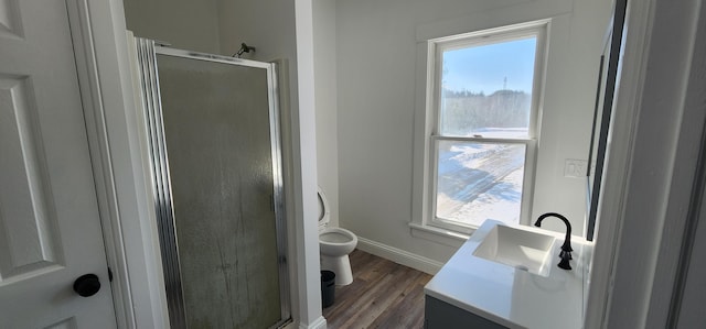 bathroom with a healthy amount of sunlight, vanity, a shower stall, and wood finished floors