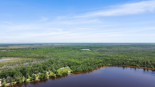15488 Paradise Lake Rd, Carp Lake, MI 49718 - photo 7