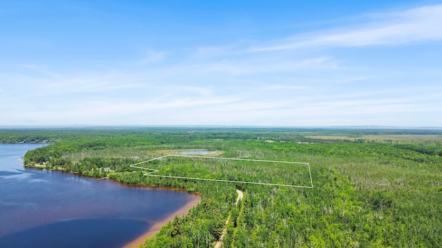 15488 Paradise Lake Rd, Carp Lake, MI 49718 - photo 8