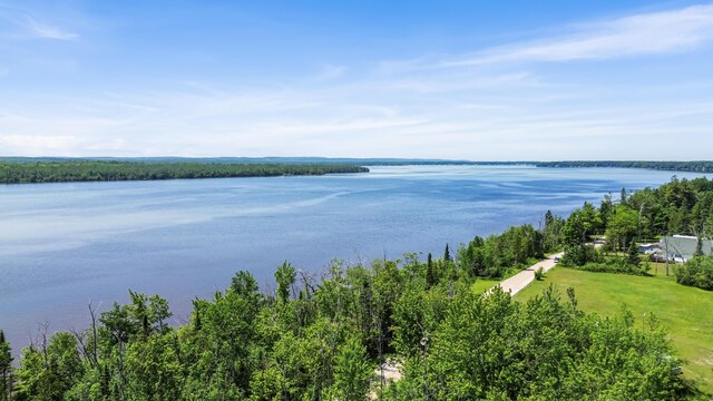 15488 Paradise Lake Rd, Carp Lake, MI 49718 - photo 9