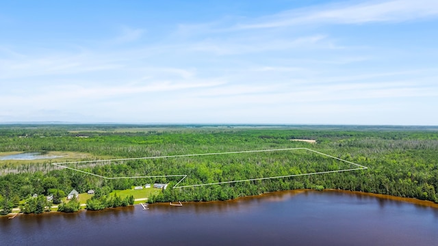 15488 Paradise Lake Rd, Carp Lake, MI 49718 - photo 10