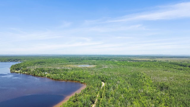 15488 Paradise Lake Rd, Carp Lake, MI 49718 - photo 11
