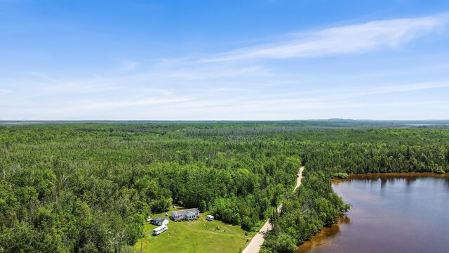 15488 Paradise Lake Rd, Carp Lake, MI 49718 - photo 12