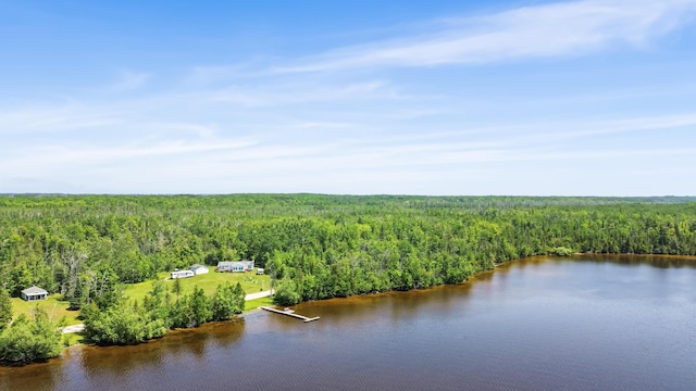 15488 Paradise Lake Rd, Carp Lake, MI 49718 - photo 13