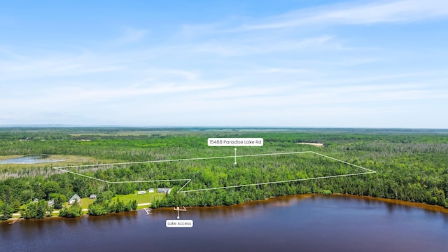15488 Paradise Lake Rd, Carp Lake, MI 49718 - photo 15