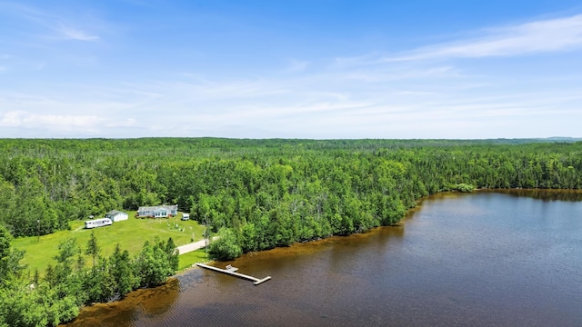 15488 Paradise Lake Rd, Carp Lake, MI 49718 - photo 16