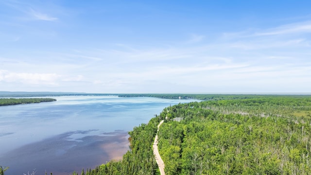 15488 Paradise Lake Rd, Carp Lake, MI 49718 - photo 17