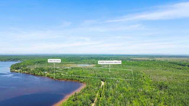 15488 Paradise Lake Rd, Carp Lake, MI 49718 - photo 18