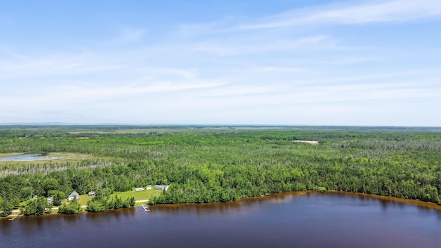 15488 Paradise Lake Rd, Carp Lake, MI 49718 - photo 19