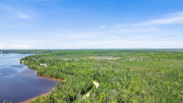 15488 Paradise Lake Rd, Carp Lake, MI 49718 - photo 20