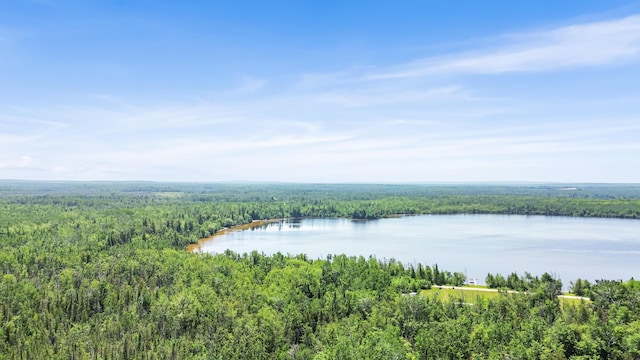 15488 Paradise Lake Rd, Carp Lake, MI 49718 - photo 21