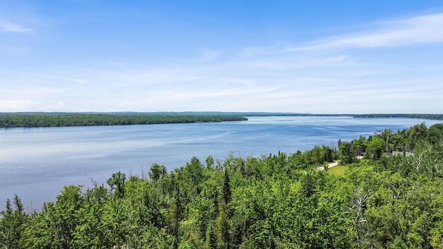 15488 Paradise Lake Rd, Carp Lake, MI 49718 - photo 22