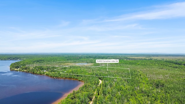 15488 Paradise Lake Rd, Carp Lake, MI 49718 - photo 23