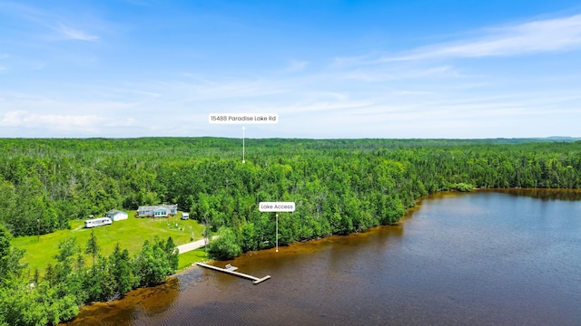 15488 Paradise Lake Rd, Carp Lake, MI 49718 - photo 24