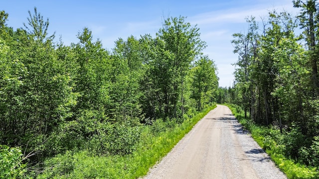 15488 Paradise Lake Rd, Carp Lake, MI 49718 - photo 25
