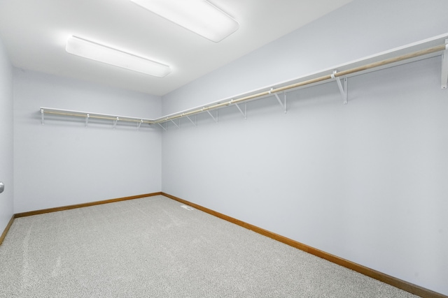 spacious closet featuring carpet flooring