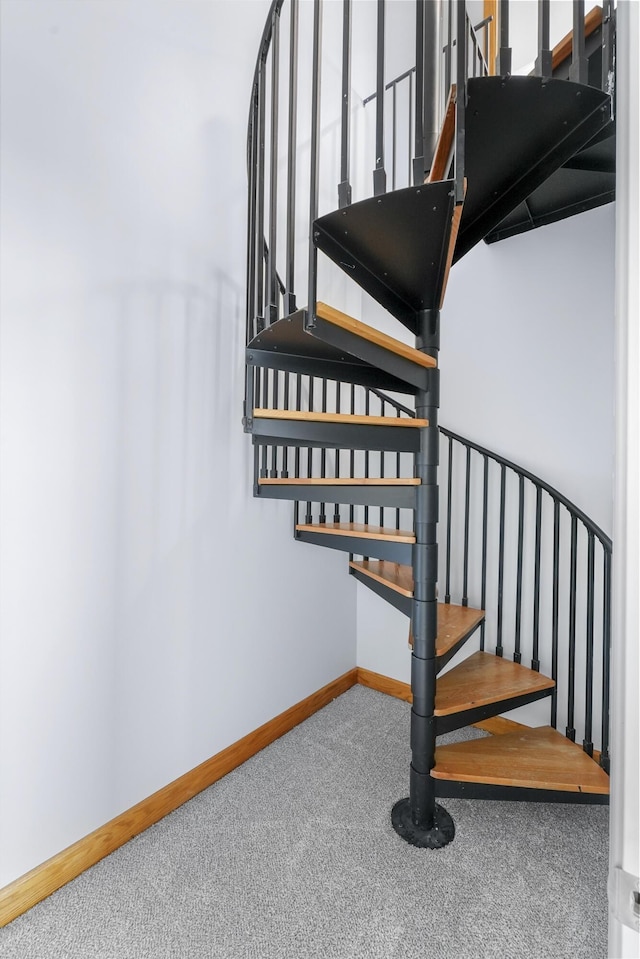 stairway featuring carpet flooring and baseboards