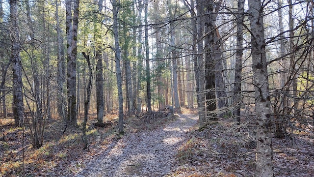 view of local wilderness with a view of trees