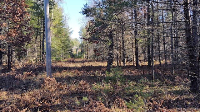 view of local wilderness with a wooded view