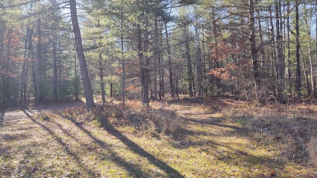 view of landscape with a wooded view