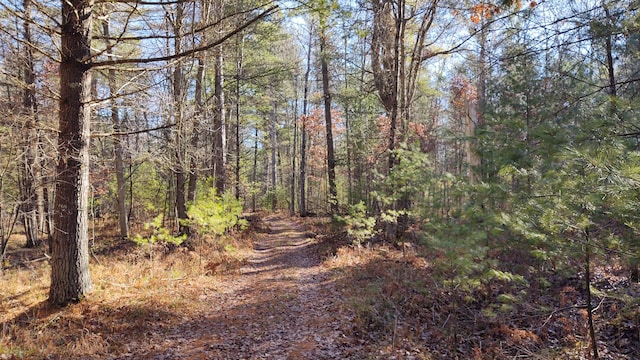 view of road featuring a view of trees