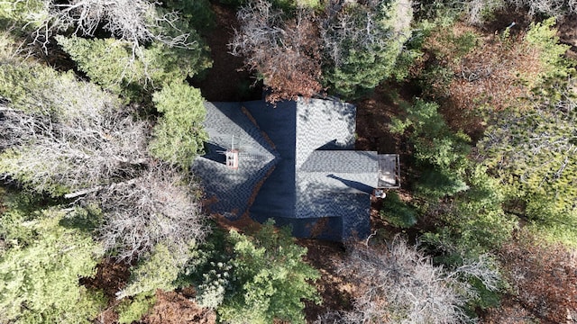 aerial view with a forest view