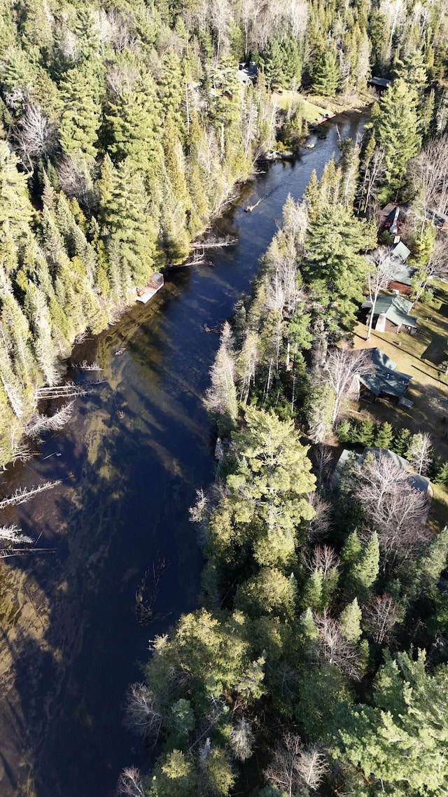 bird's eye view featuring a wooded view and a water view