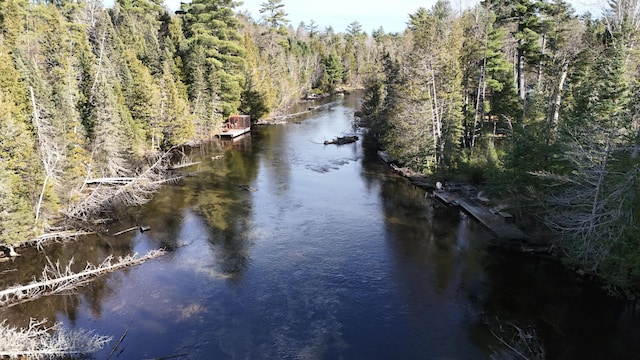 water view featuring a wooded view