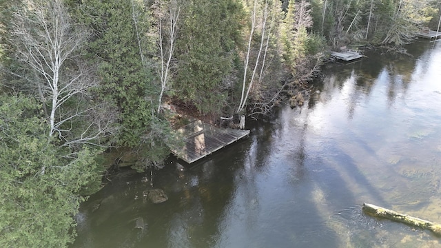 aerial view featuring a view of trees and a water view