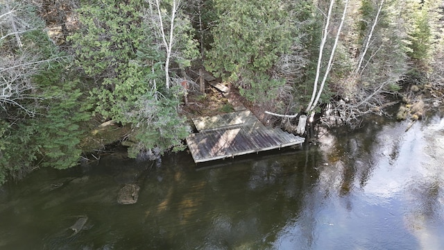 dock area featuring a wooded view and a water view