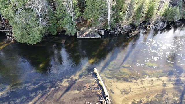 water view featuring a forest view and a dock