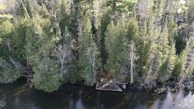 bird's eye view featuring a forest view