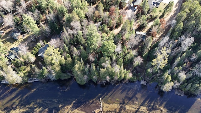 drone / aerial view featuring a water view and a view of trees