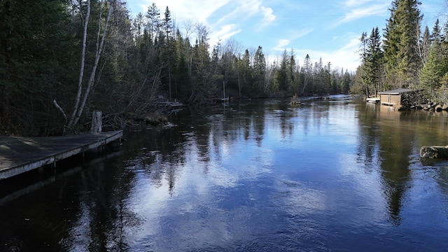 water view with a view of trees and a dock