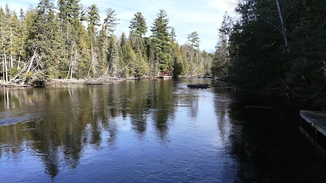 water view with a forest view