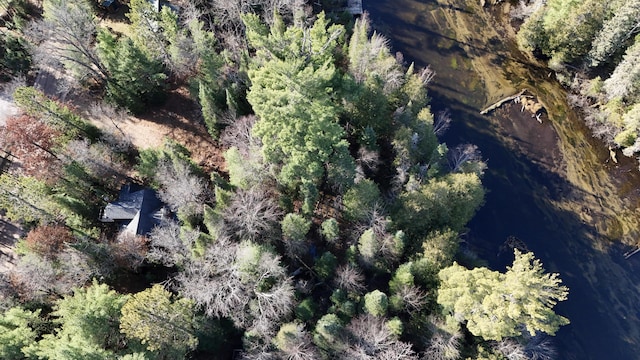 drone / aerial view featuring a view of trees