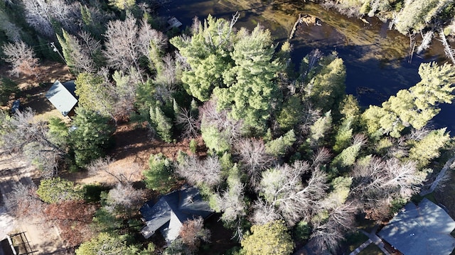 aerial view with a forest view