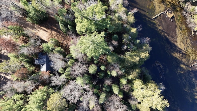 drone / aerial view with a wooded view