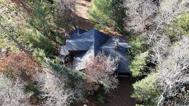 aerial view with a forest view