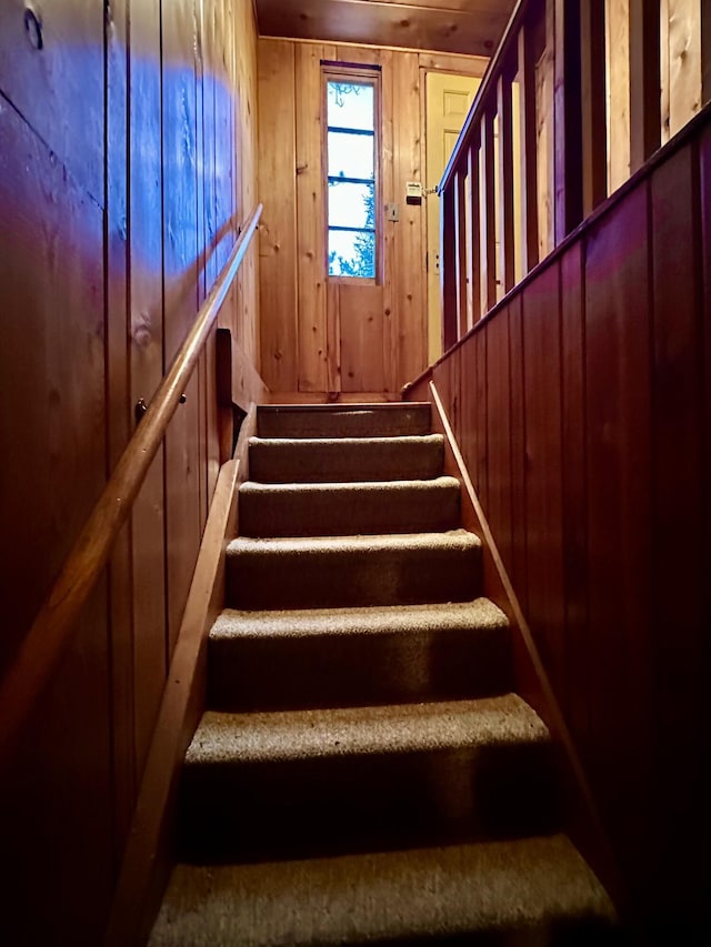 stairs with wood walls